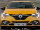 Renault Megane RS 300 Trophy - Thumbnail 2
